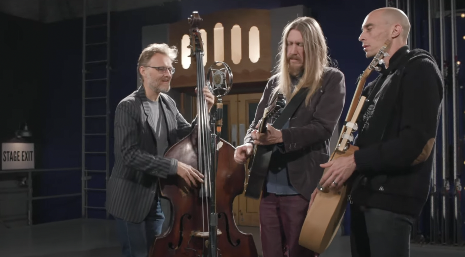 Nadine Microphone for Upright Bass — Ear Trumpet Labs
